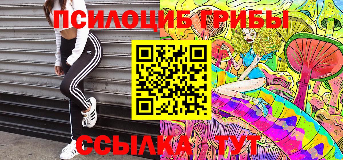 Среднеуральск  Псилоцибиновые грибы Psilocybe  Псилоцибиновые грибы мицелий  Вход с VPN 